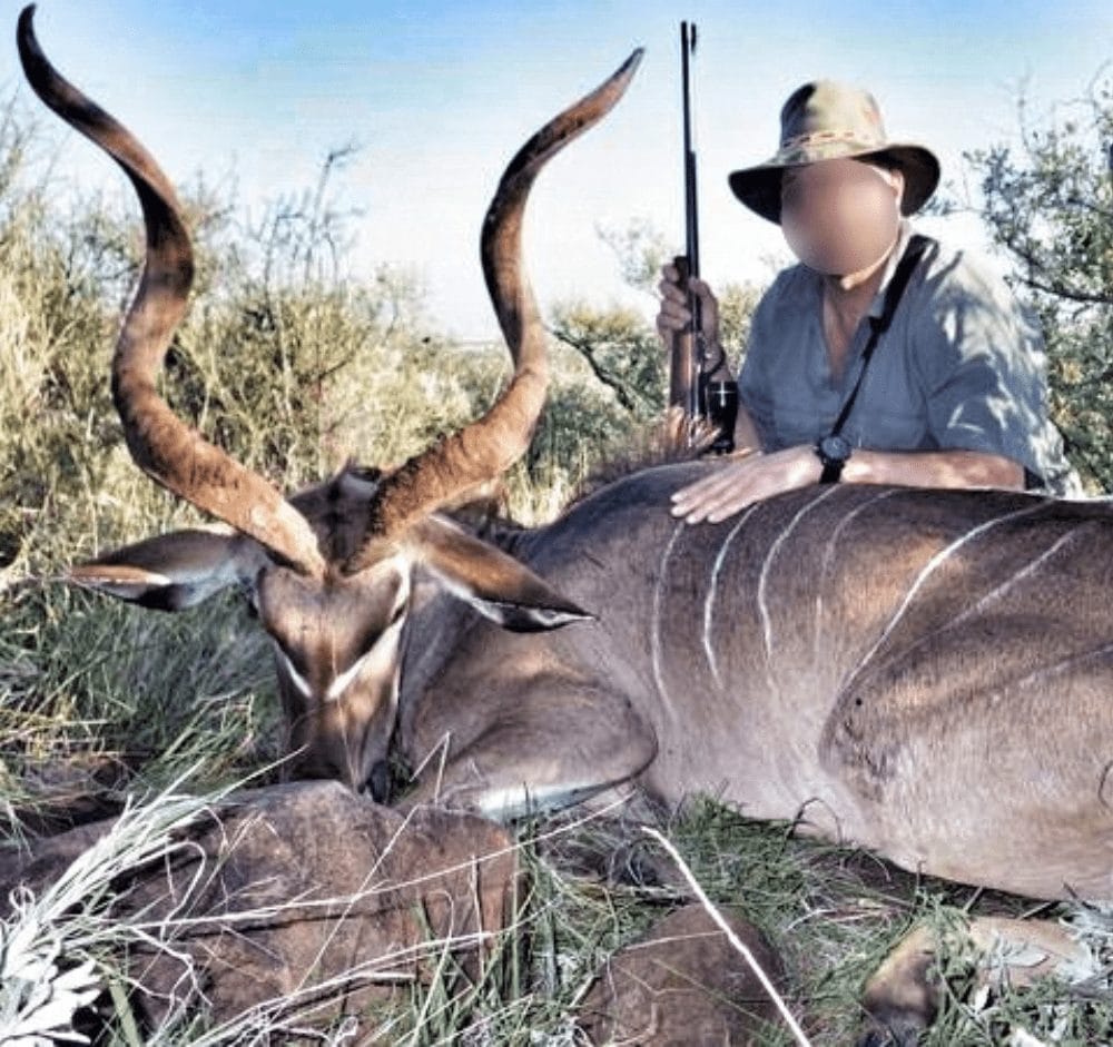 Infinite Safaris Africa - Hunting and Accommodation - Professional Hunting - Wildlife -Become part of our great safari heritage - Plains Game Safaris - Kudu Hunt