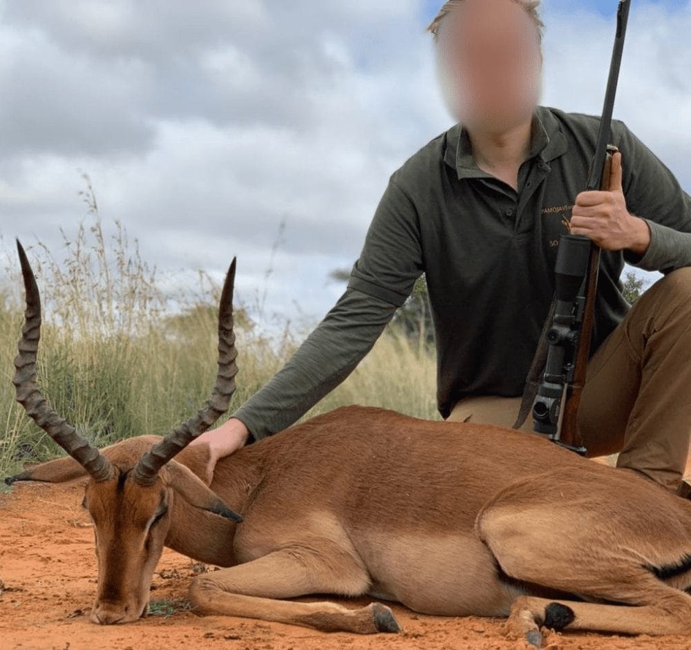 Infinite Safaris Africa - Hunting and Accommodation - Professional Hunting - Wildlife -Become part of our great safari heritage - Plains Game Safaris - Impala Hunt