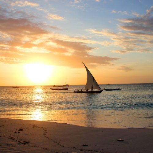 Infinite Safaris Africa - Mozambique - Photographic Safaris (1)