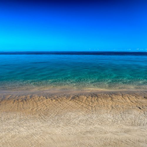 Infinite Safaris Africa - Mozambique - Photographic Safaris (1)