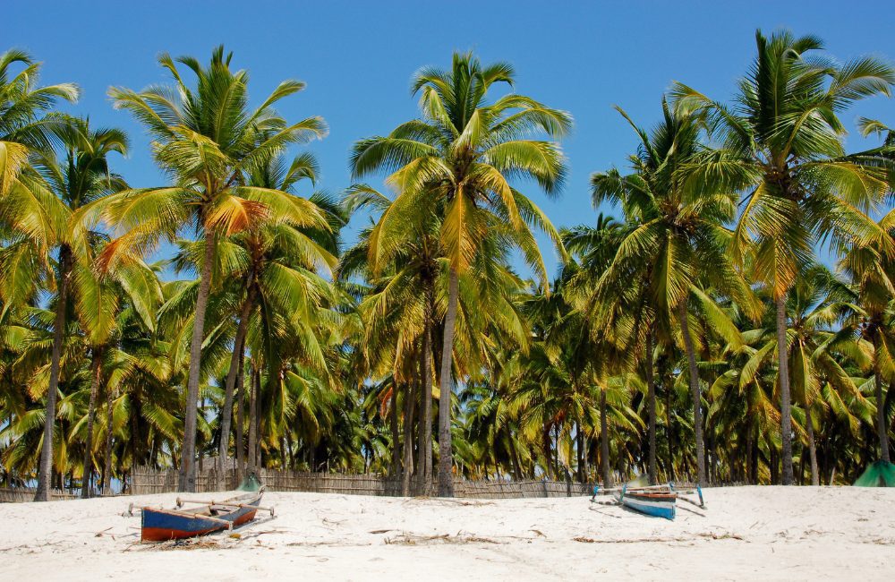 Infinite Safaris Africa - Mozambique - Photographic Safaris (1)