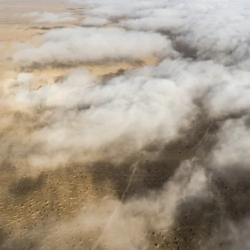 Infinite Safaris Africa - Namibia Photographic Safaris - SKELETON COAST FOG