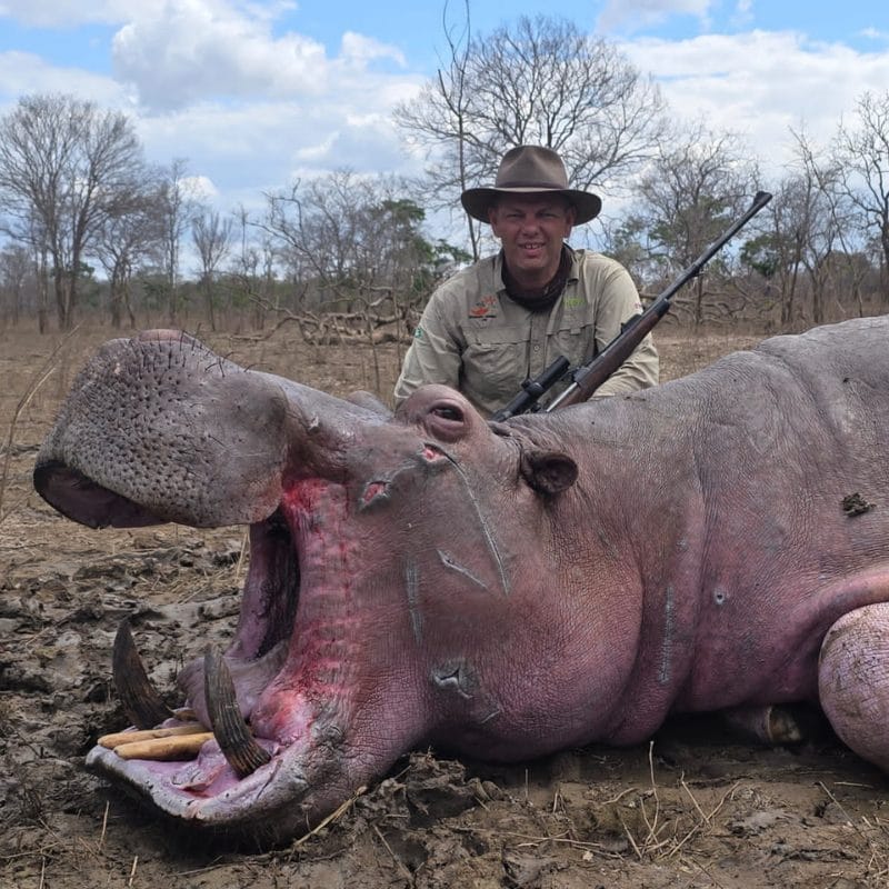 Infinite Safaris Giraffes - Hippopotamus Hunting