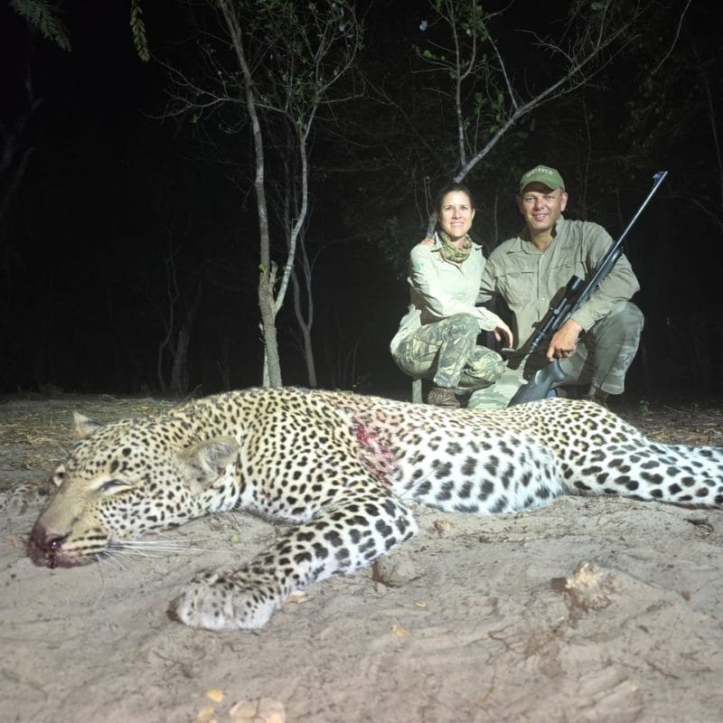 Infinite Safaris Giraffes - Leopard Hunting