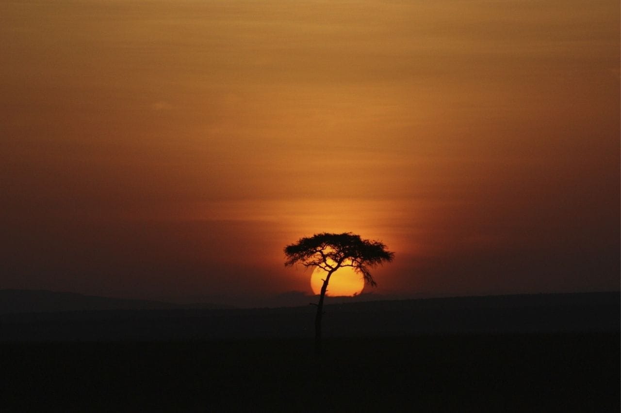 Ethical Safari Guide 2026