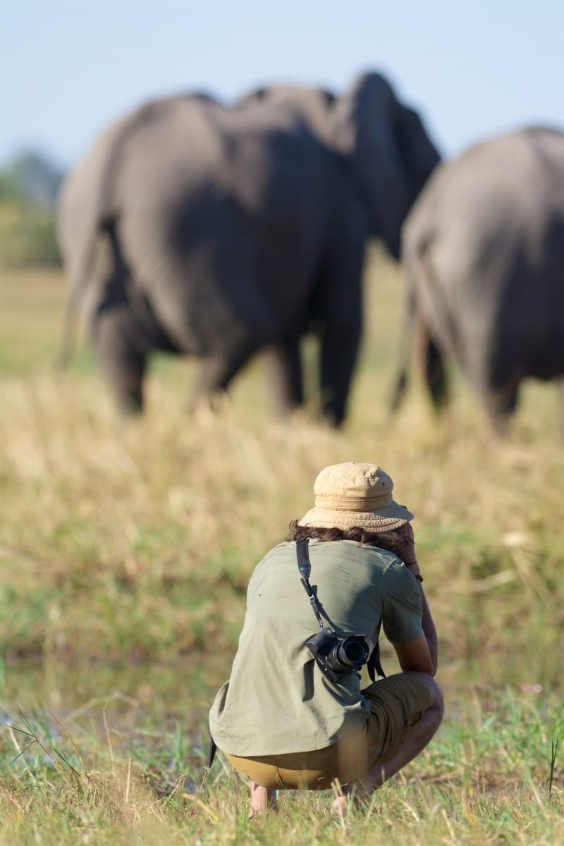 Infinite Safaris Africa - Photographic Safaris - Photo Safaris With Us - Photographer squatting close to ground to take a photo of elephants in the distance